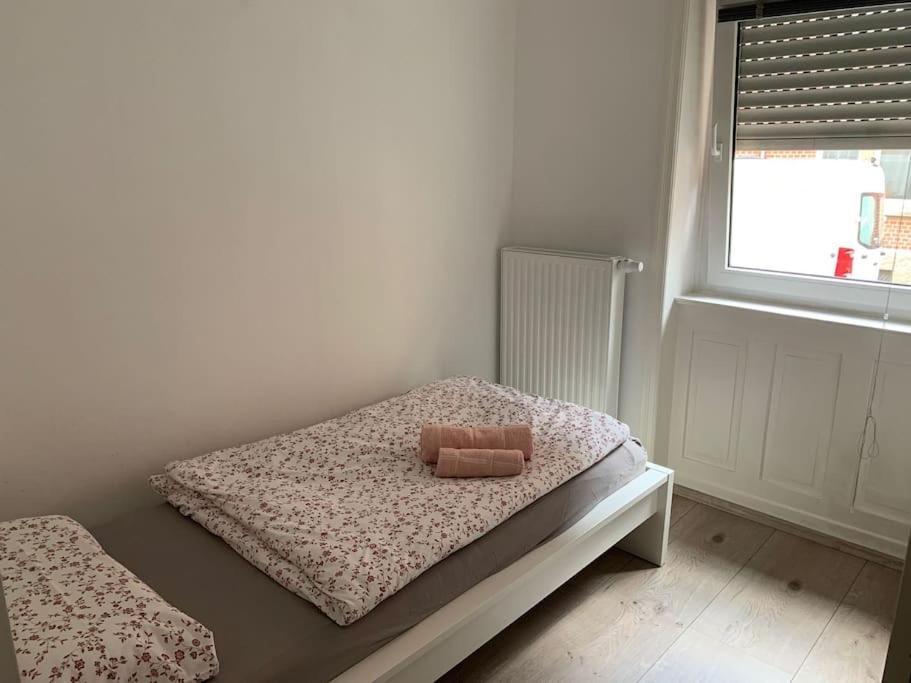 Gemuetliche Altbauwohnung In Ostendplatz Apartment